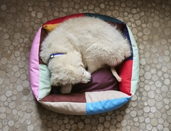 HAY Dogs Bed - hundekurv small fra HAY