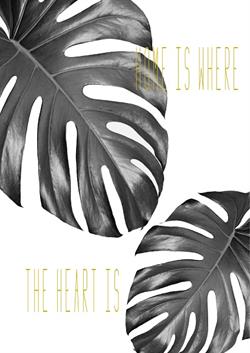Plakat sort Monstera - Home is where the heart is