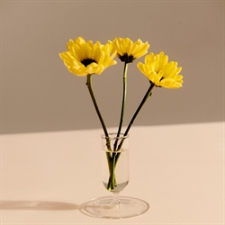 Tiny Vase klar - glas vase fra HAY