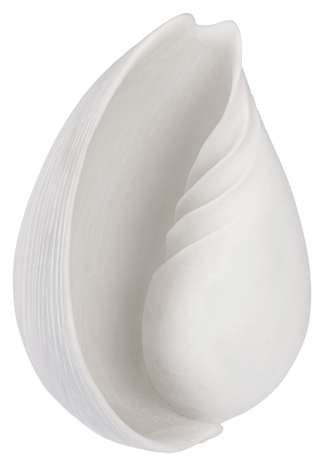 Conch Shell - Konkylie large fra Mette Ditmer